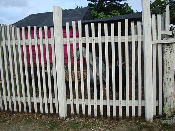 20140628花東四日遊 1194 20140628花東四日遊 1194