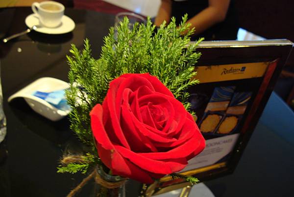 DSC07853 DSC07853