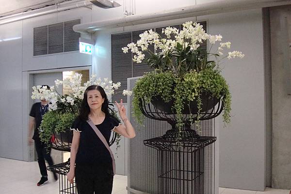 就20170225曼谷九日遊 037 就20170225曼谷九日遊 037