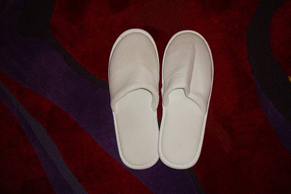 就20170225曼谷九日遊 130 就20170225曼谷九日遊 130