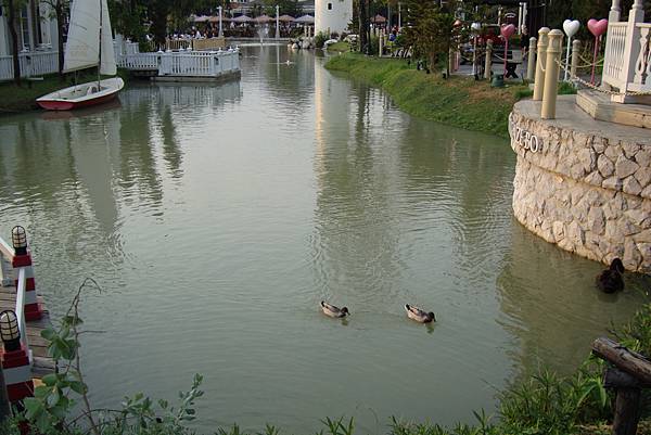 就20170225曼谷九日遊 366