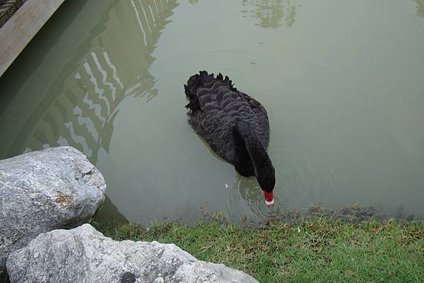 就20170225曼谷九日遊 304