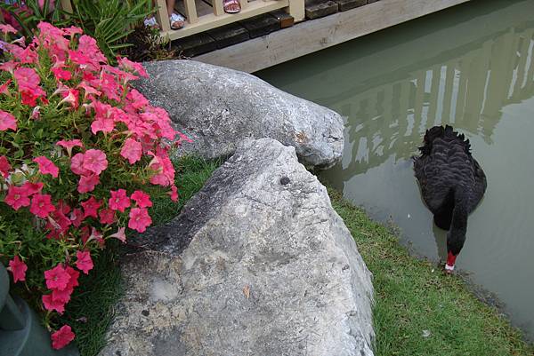 就20170225曼谷九日遊 303