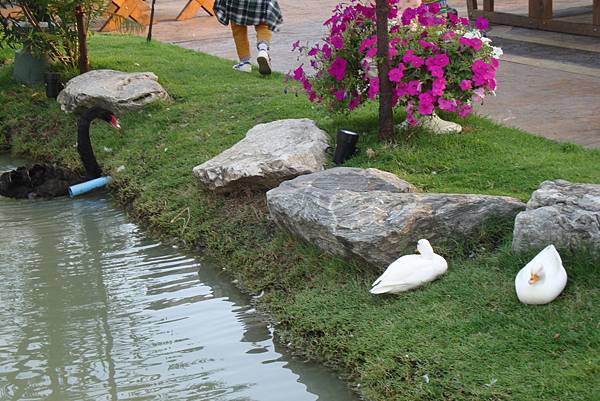 就20170225曼谷九日遊 302