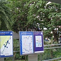 DSC04307.JPG
