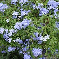 DSC04311.JPG