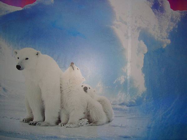 20190406曼谷第17次自助9日遊 810