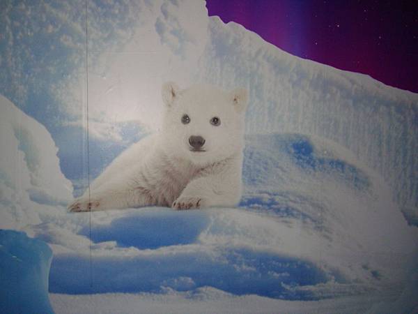 20190406曼谷第17次自助9日遊 813