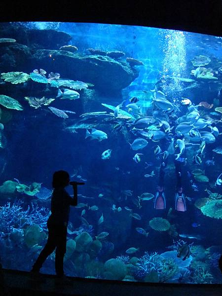 20190406曼谷第17次自助9日遊 817