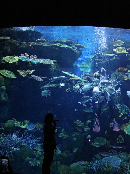 20190406曼谷第17次自助9日遊 818