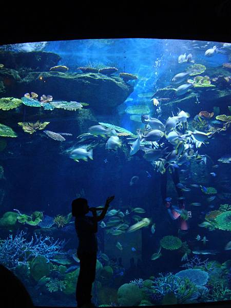 20190406曼谷第17次自助9日遊 819