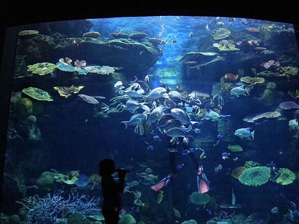 20190406曼谷第17次自助9日遊 820