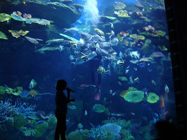 20190406曼谷第17次自助9日遊 821