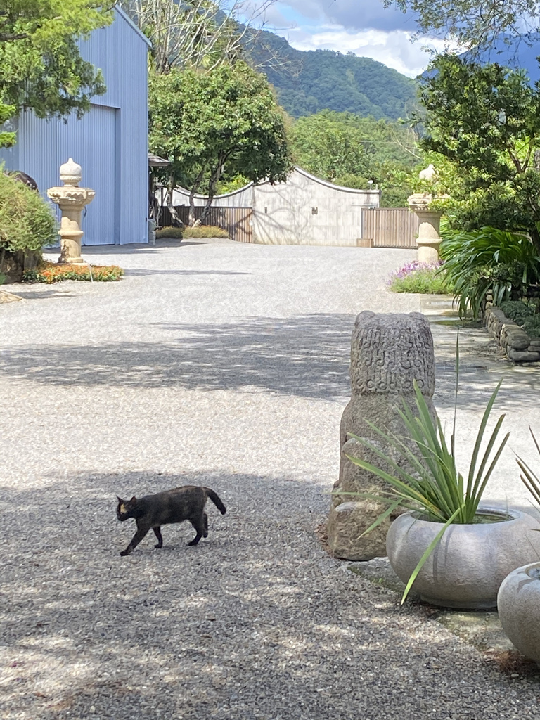 『國內住宿』『南投』秋山居（秋の山會館）四人房Villa住宿