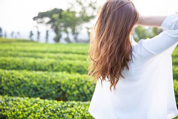 IMG_3096.jpg IMG_3096.jpg