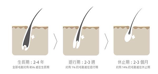 圖片3.jpg 圖片3.jpg