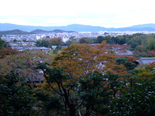 常極光寺的祕密景點~可以俯視整個嵯峨野景色!