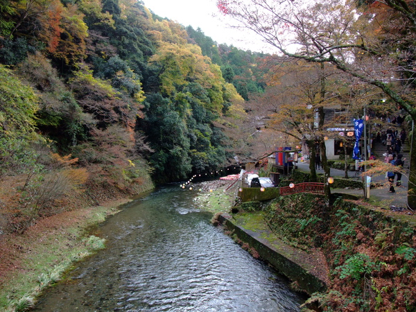 據說沿著清瀧川步道可以走到嵐山 沿途美景更是讚~