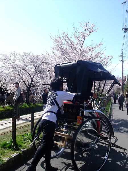 原來哲學之道也有人力車