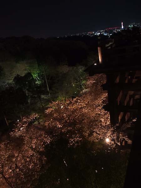 可以瞭望京都市街景