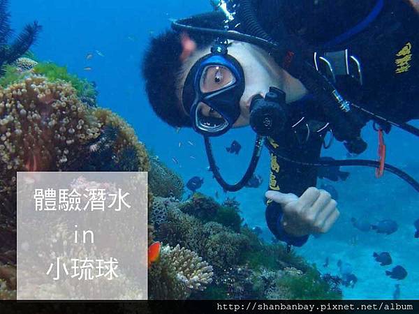 綠蠵龜潛水001 綠蠵龜潛水001