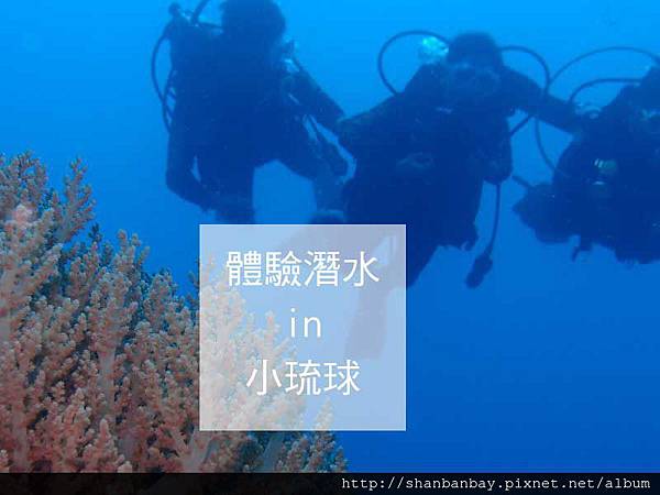 綠蠵龜潛水003 綠蠵龜潛水003