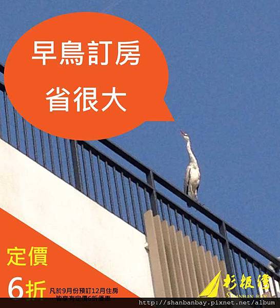 早鳥專案001 早鳥專案001
