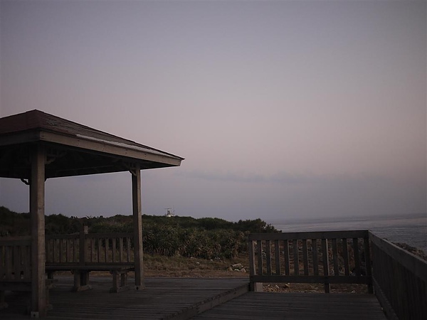 _1100585 (Medium).JPG