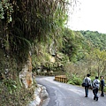 搭遊園車沿途風景-4