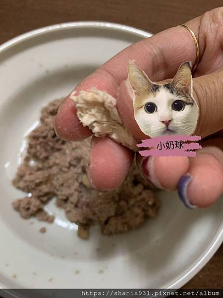 卡尼零食5.jpg