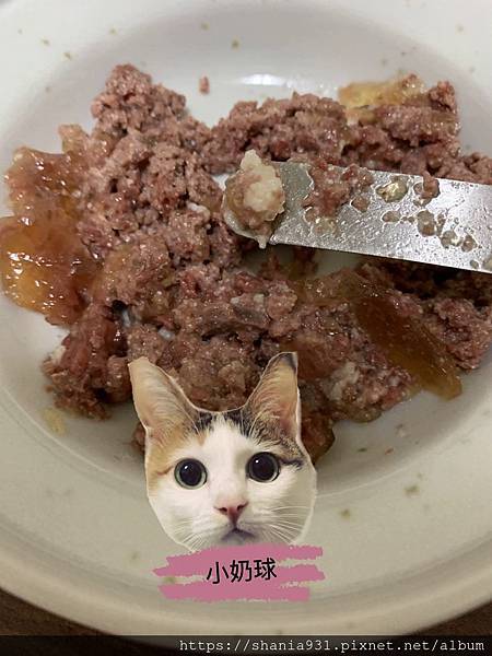 catz 黑罐 羔羊7.jpg