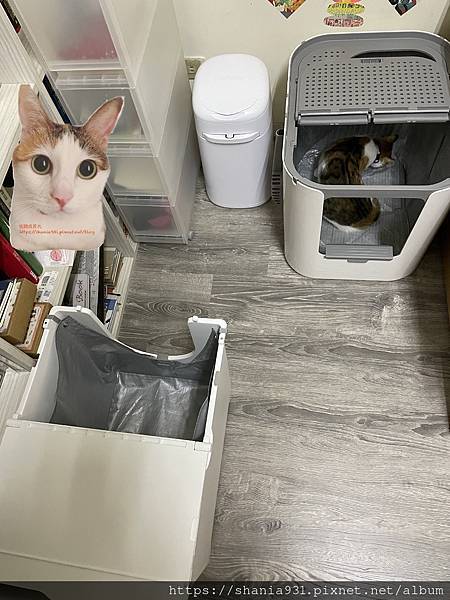 [心得] Modkat 魔術空間、XL貓砂盆