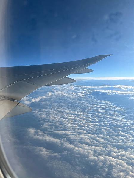 IMG_0803.jpeg IMG_0803.jpeg