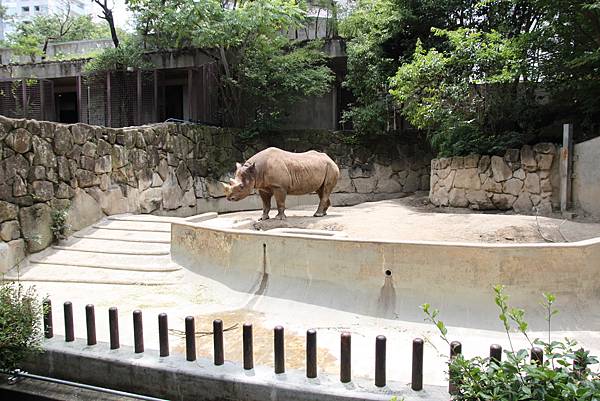 2016背著寶妞趣東京_061216(32).JPG