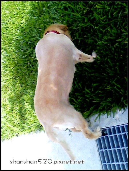 IMG0088B.jpg