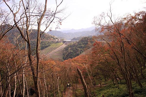 _MG_5231.JPG _MG_5231.JPG