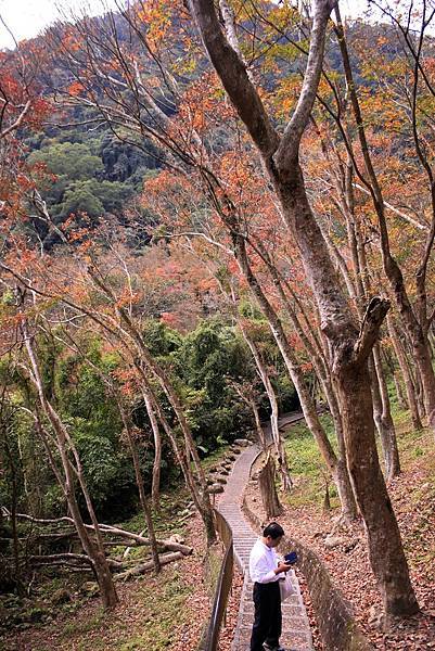 _MG_5251.JPG _MG_5251.JPG