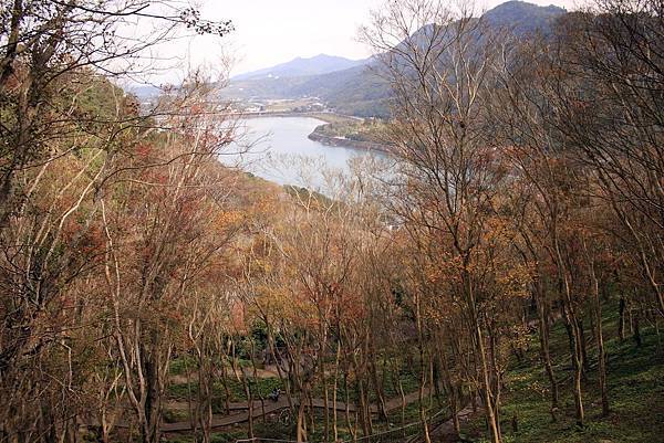 _MG_5276.JPG _MG_5276.JPG