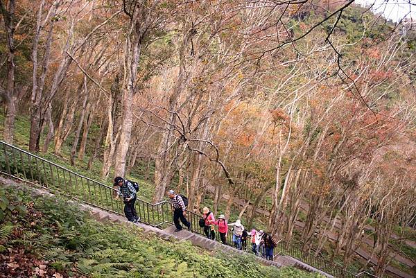 _MG_5282.JPG _MG_5282.JPG