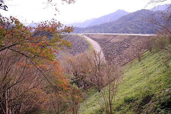 _MG_5293.JPG _MG_5293.JPG