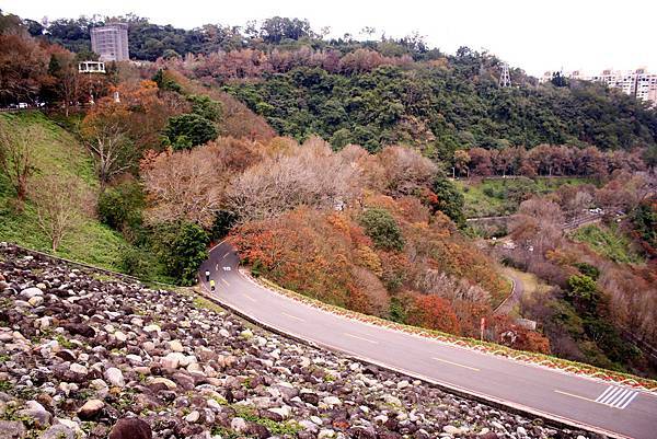 _MG_5306.JPG _MG_5306.JPG