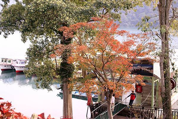 _MG_5366.JPG _MG_5366.JPG