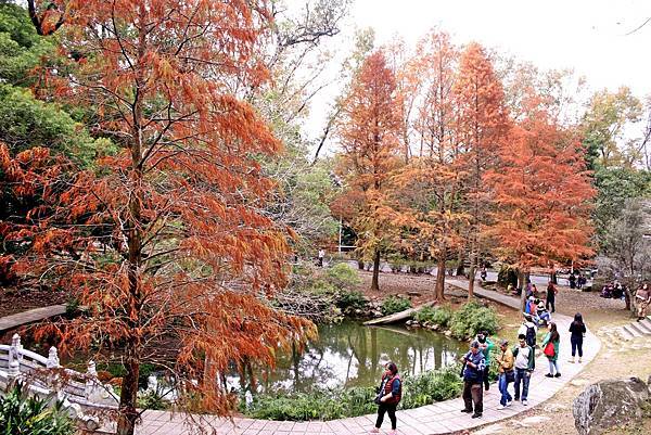 _MG_5399.JPG _MG_5399.JPG