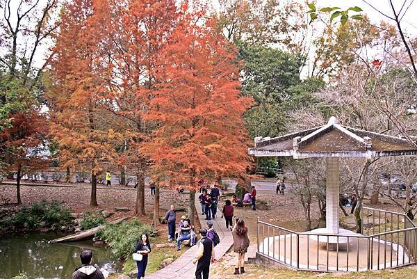 _MG_5402.JPG _MG_5402.JPG