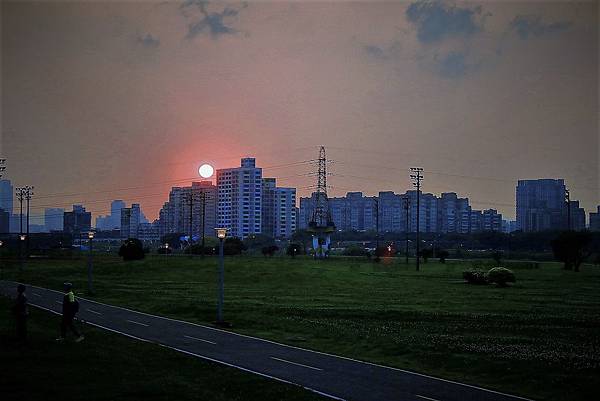 _MG_4202 _MG_4202