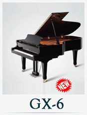 KAWAI GX-6