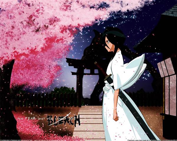 死神 bleach 10