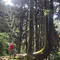 20221030阿里山大凍山步道⛰💪🙆_221031_0.jpg
