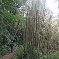 20221030阿里山大凍山步道⛰💪🙆_221031_5.jpg