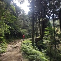 20221030阿里山大凍山步道⛰💪🙆_221031_1.jpg